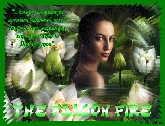 THE FALCON FIRE