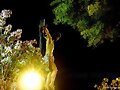 Stmo. Cristo del Mar. Hdad. del Calvario