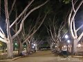 Paseos de Una Noche de Verano. Almer&iacute;a