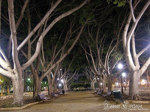 Paseos de Una Noche de Verano. Almería