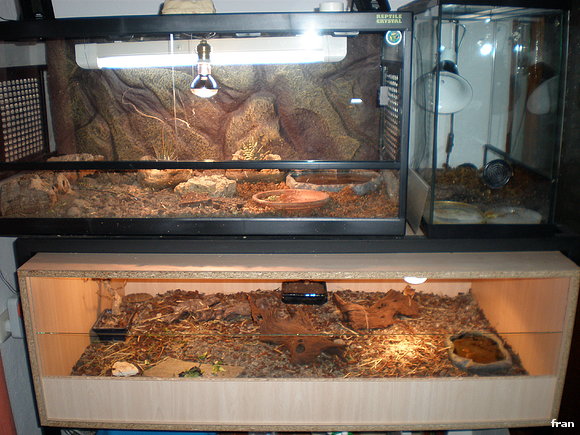 terrarios