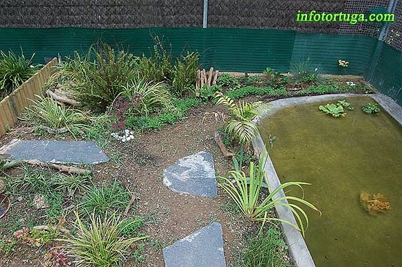 Recinto para Kinosternon
