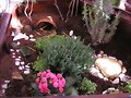 La tortuhouse