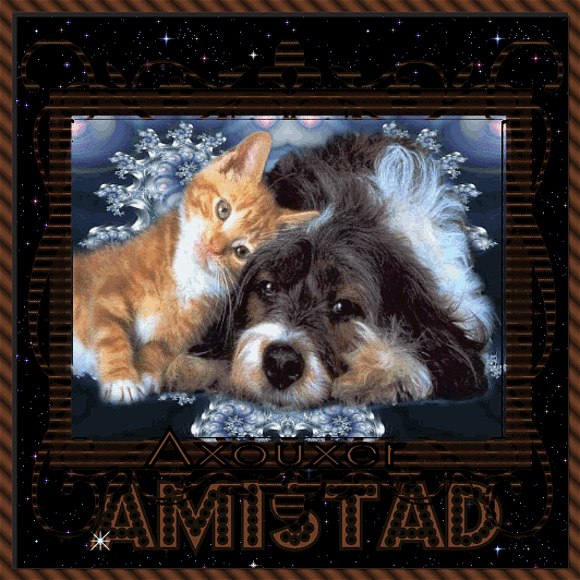 Amistad
