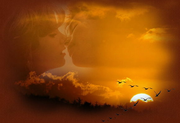Amor