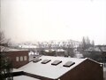 Nieve Nieve!