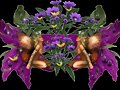 Orquideas