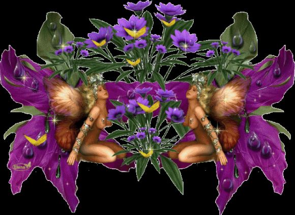 Orquideas