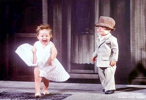 Se feliz baila