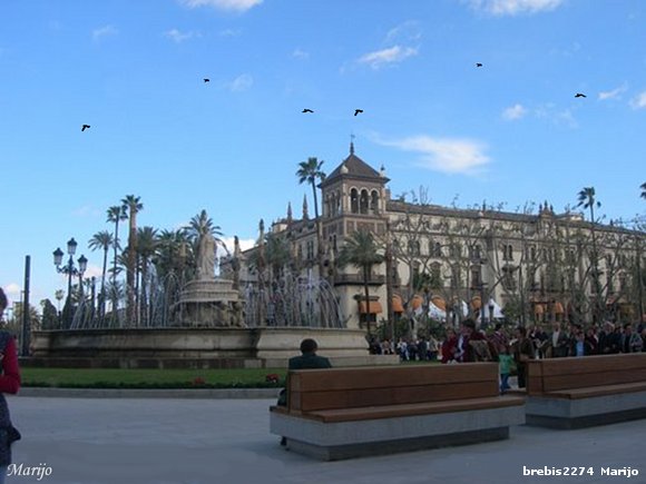 LLegan las golondrinas a Sevilla