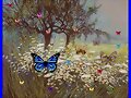 Mariposas