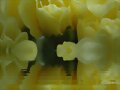 flor amarilla