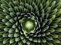 es una planta