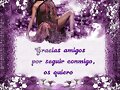 En colores violeta