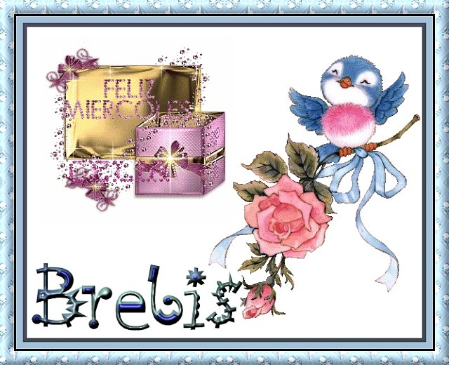 brebis