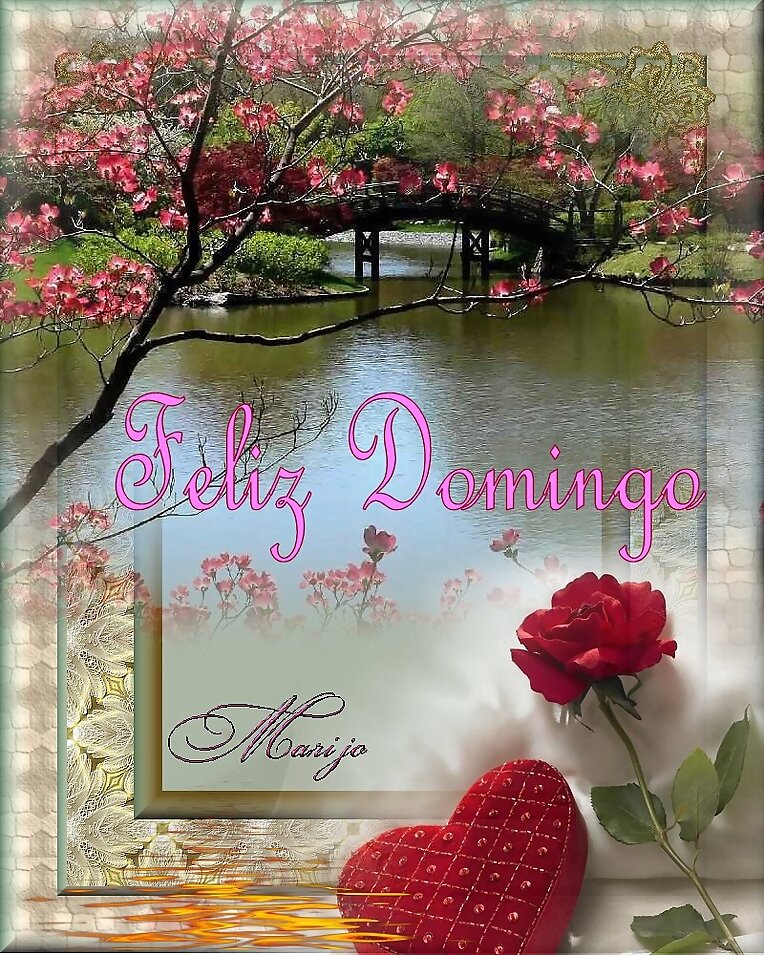 Feliz Domingo
