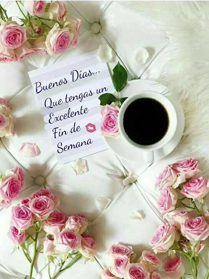 buenos dias