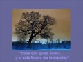 Frases