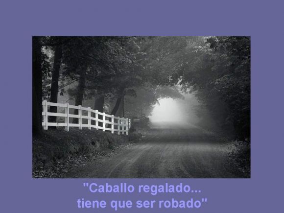Frase
