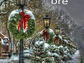 mes de diciembre