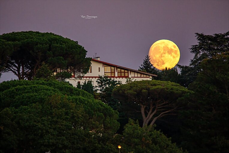 luna N° dos