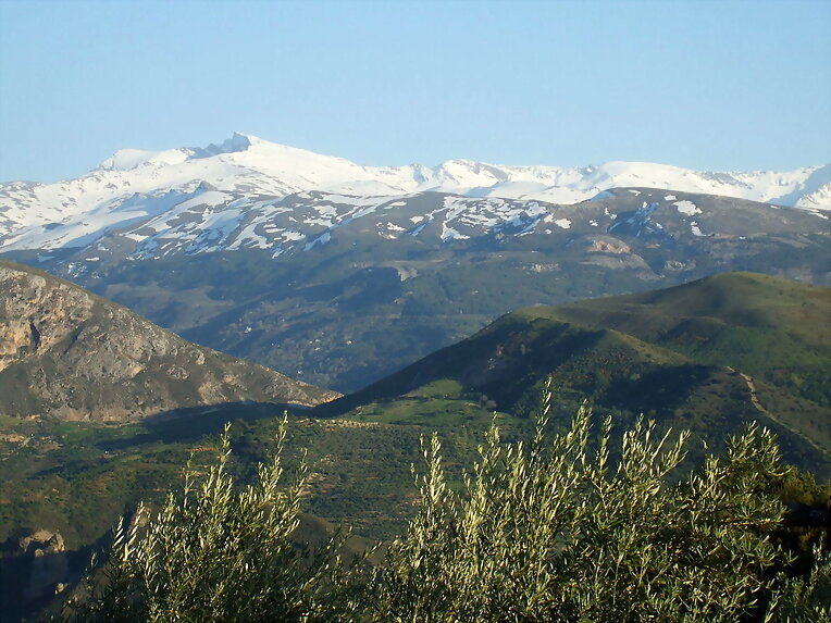 el veleta