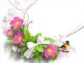 florecillas