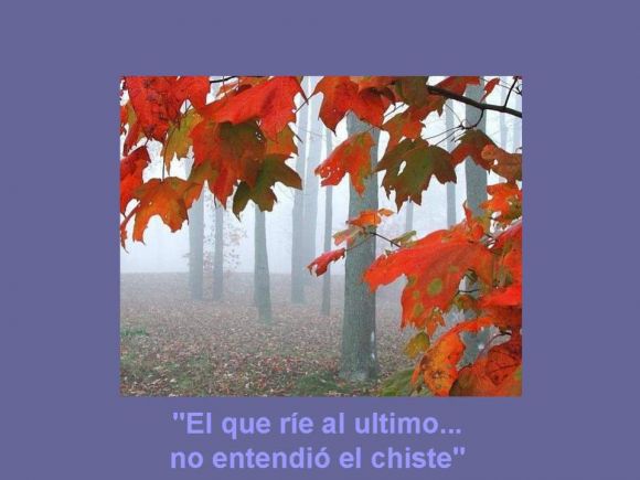ultimade hoy