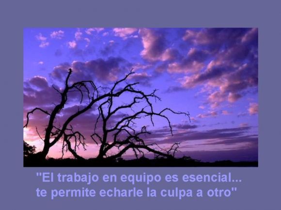Frase
