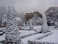 Nieve