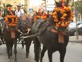 nos vamos de fiesta