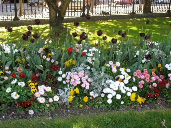 Parque florido