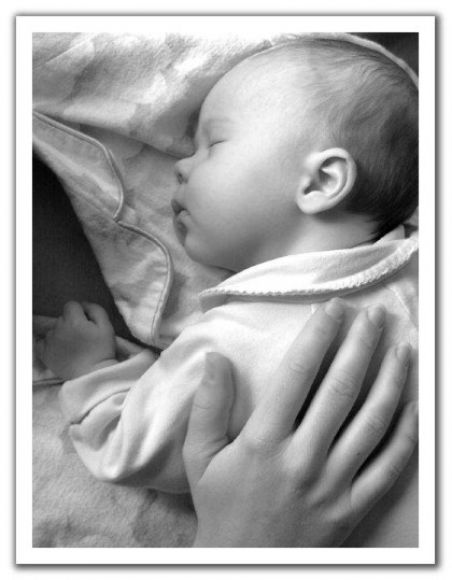 duerme en el regazo
