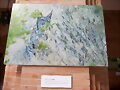 Expo Fotograf&iacute;as: &quot;Tierra de linces&quot; II
