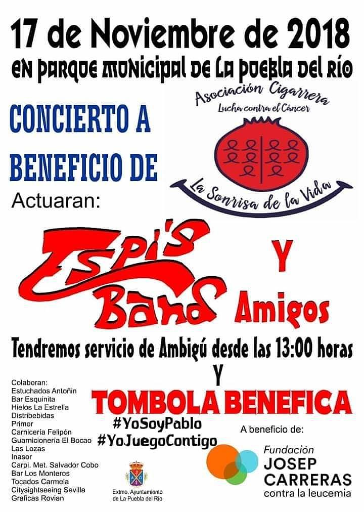 Concierto benéfico