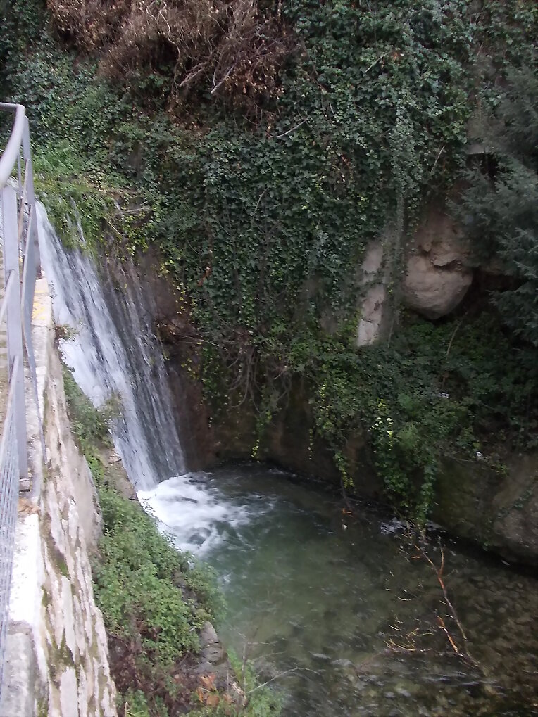 Cazorla (Jaén) (26-29.FEB.2016) X