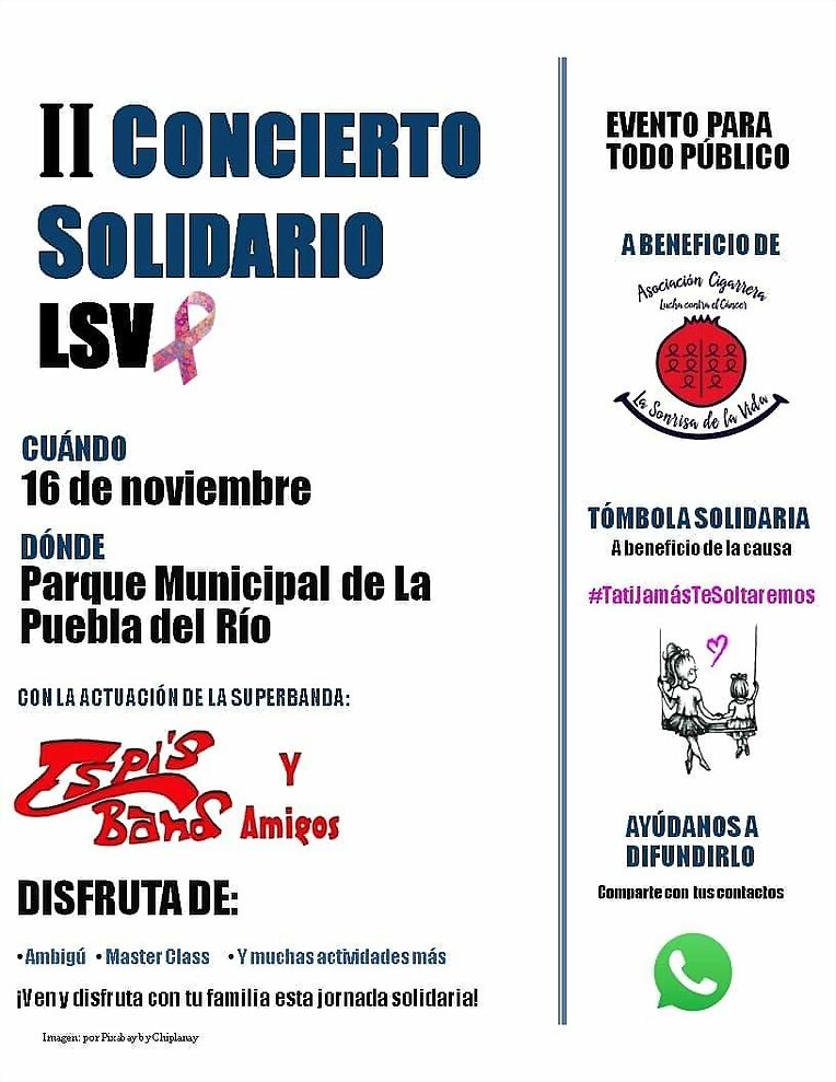 II Concierto Solidario "La Sonrisa de la Vida" II