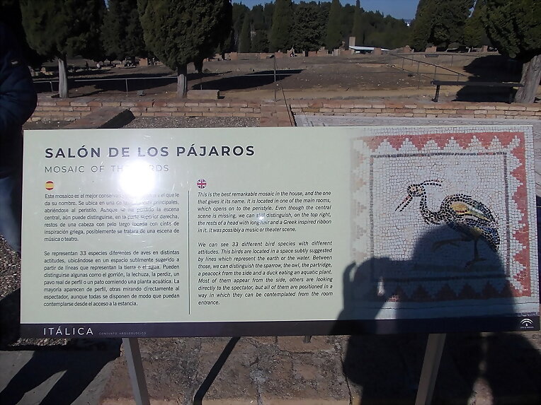Conjunto Arqueológico de Itálica XII