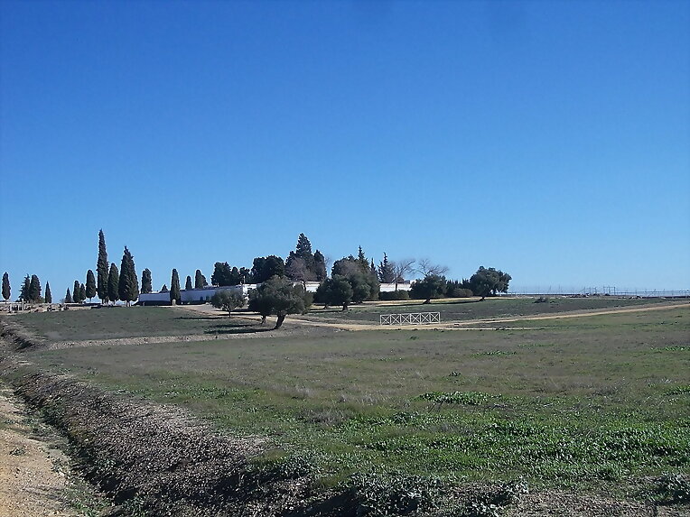Conjunto Arqueológico de Itálica XIV