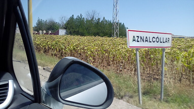 Día en Aznalcóllar II