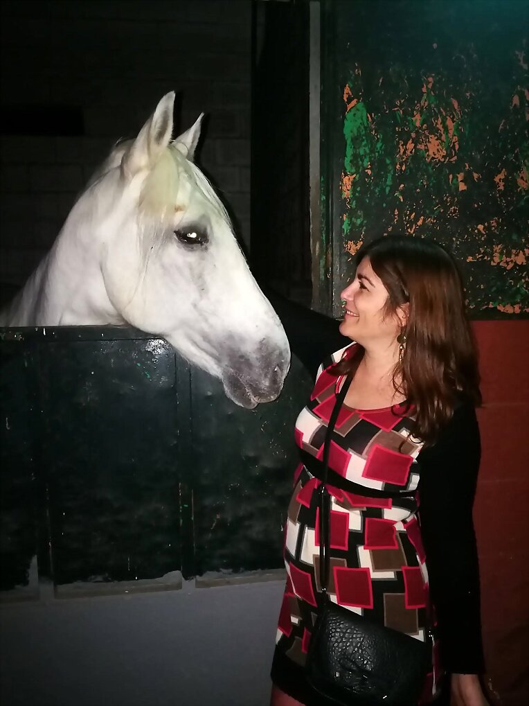 Conociendo al caballo blanco II