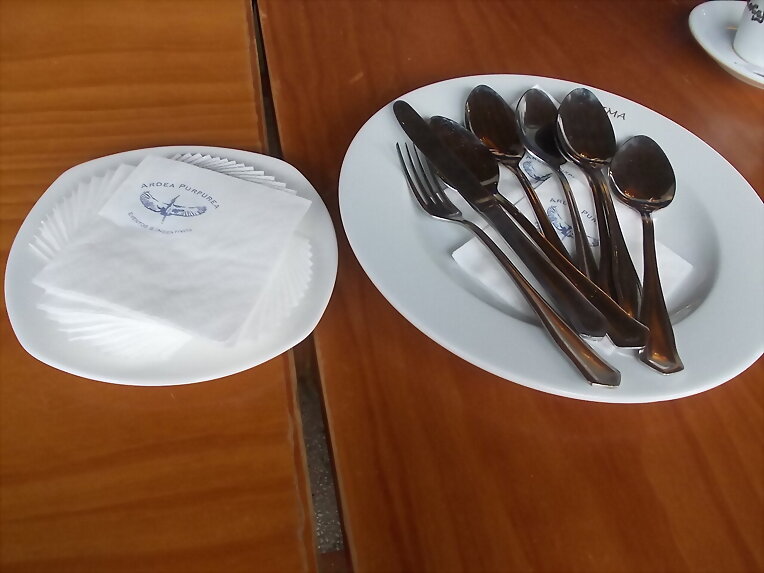 Almuerzo con amigos de mis padres IV