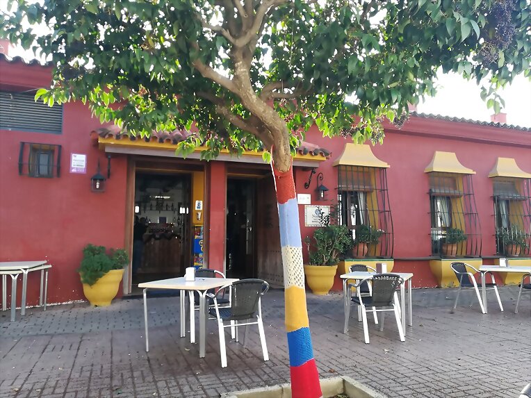 Almuerzo de aniversario II