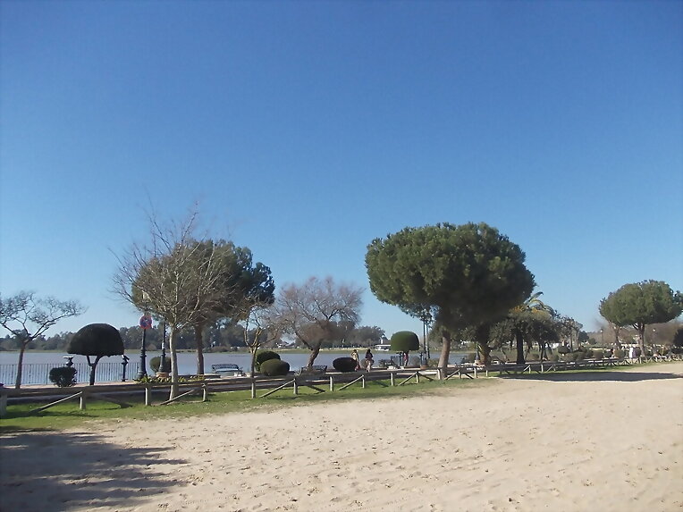 Día en El Rocío IV
