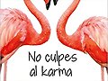 No culpes al karma de lo que te pasa por gilipolla
