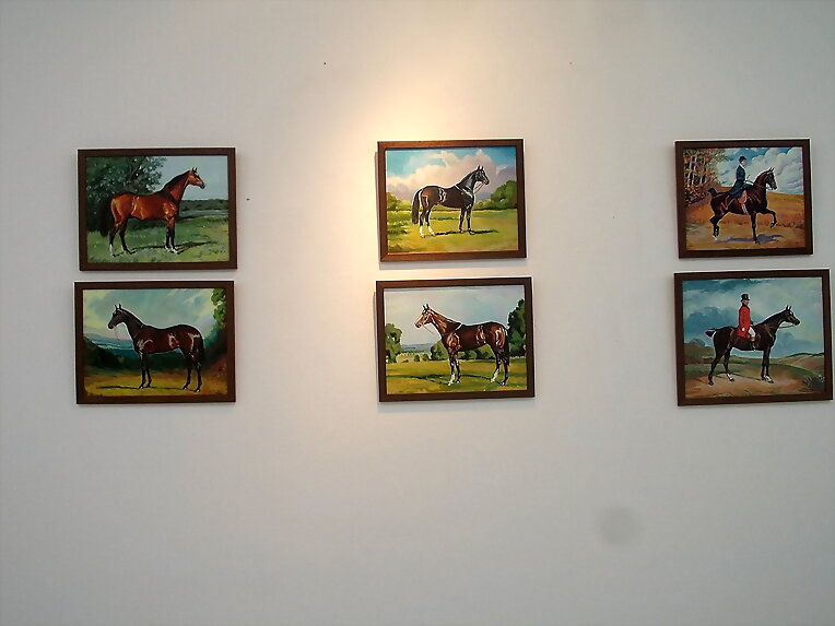 Exposición Fernando Olivares XII