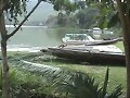 laguna de sauce