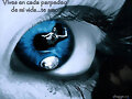 Vives en Cada Parpadeo de mi Vida!........