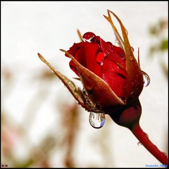 ♦♦♦ El Instante Magico ♦&#