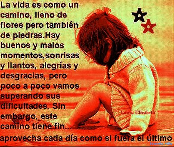 _La Vida _